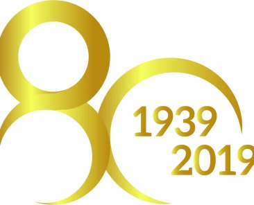 Logo 80 sfumato